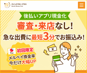 クイックマネープラス